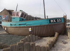 Dorothy Melinda - RX53 - Stade 02